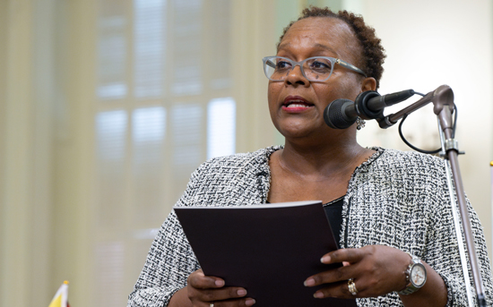 Assemblywoman Lori Wilson on the Assembly Floor