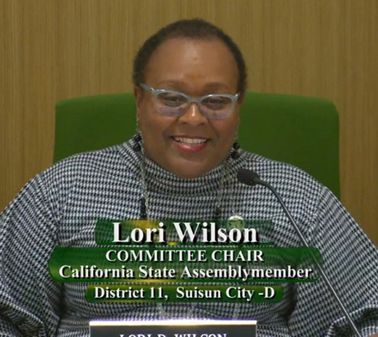 Lori Wilson Chair of Transportation Committee