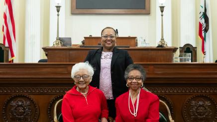 Assemblywoman Lori Wilson Recognizes Delta Sigma Theta Sorority on the Assembly Floor