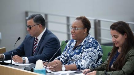 Assemblywoman Lori Wilson's Climate Bond Hearing at Assembly Natural Resources Committee Meeting