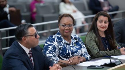 Assemblywoman Lori Wilson's Climate Bond Hearing at Assembly Natural Resources Committee Meeting